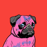 thug pug pcbo pfp